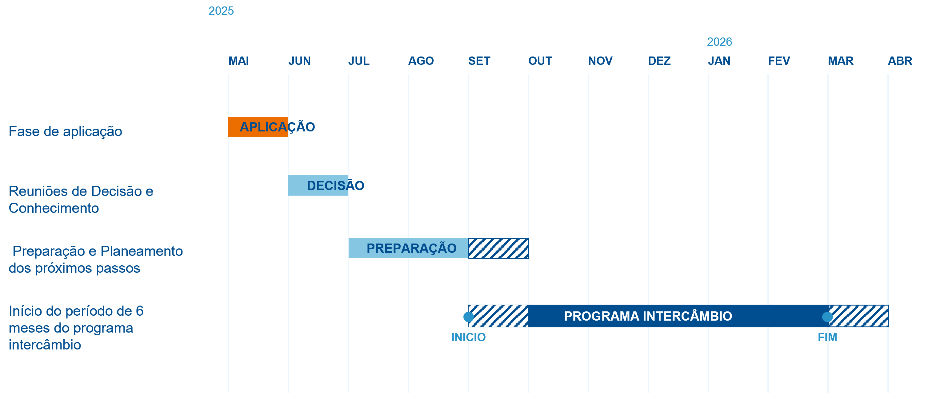 Um gráfico mostrando o processo de candidatura para o programa de intercâmbio para jovens profissionais da ALPLA.