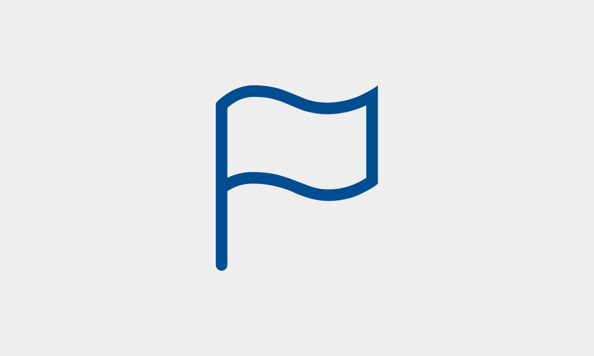 Blue flag icon on a light gray background.